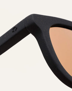 brown lenses sunglasses frames